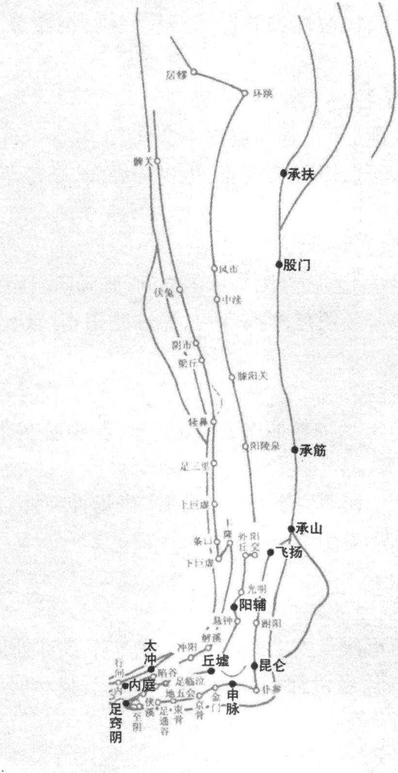 下肢部常用穴位
